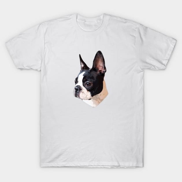 Boston Terrier T-Shirt by ElegantCat